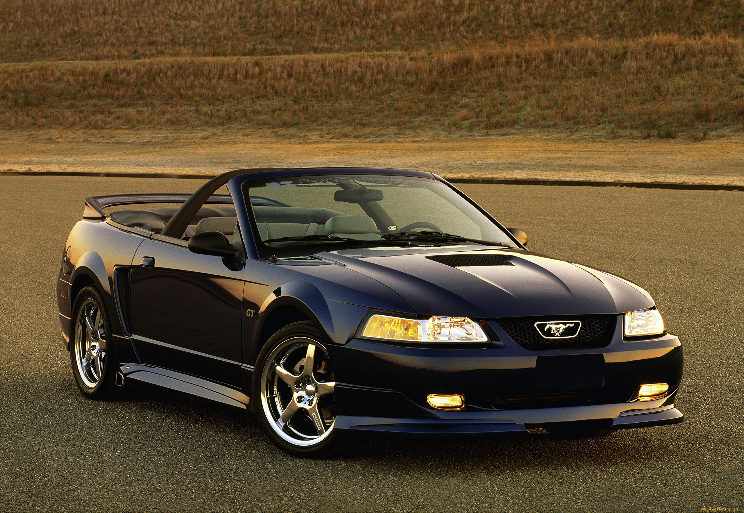 , mustang
